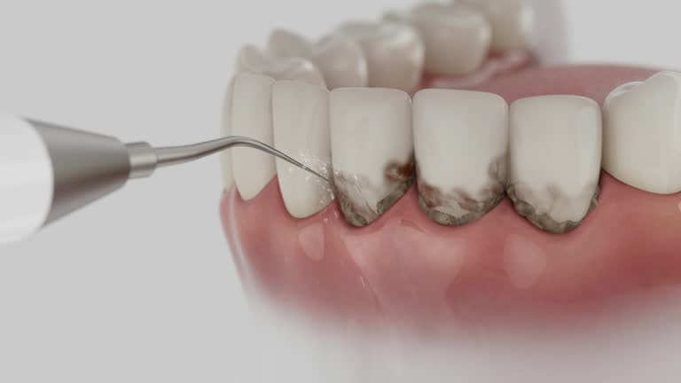 Reliable Dental contractor in Arenac County County, MI by Dentist Open Now